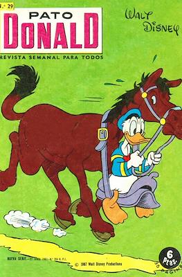 Pato Donald #29