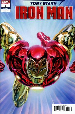Tony Stark Iron Man (Variant Covers) #1.24