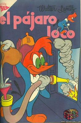 El pájaro loco #66