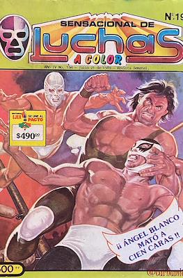 Sensacional de Luchas #194