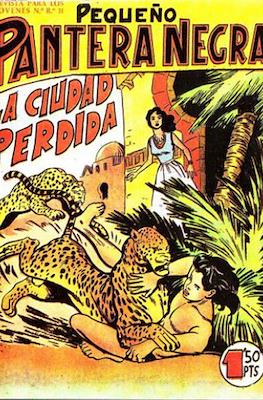 Pantera Negra / Pequeño Pantera Negra #88
