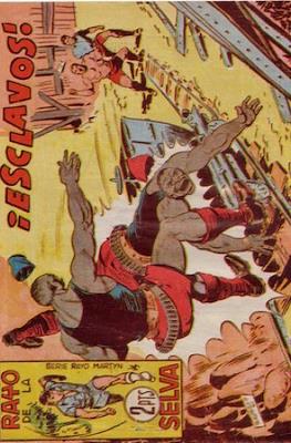 Rayo de la selva #64