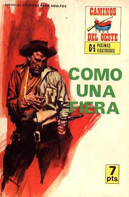 Caminos del Oeste #40