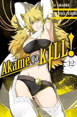 Akame ga Kill! #12