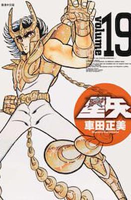 聖闘士星矢 完全版 (Saint Seiya) #19