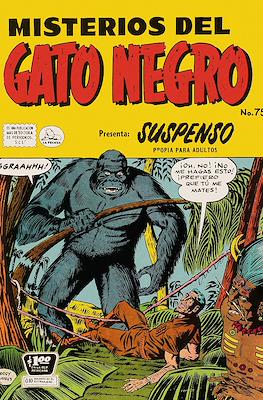 Misterios del gato negro #75