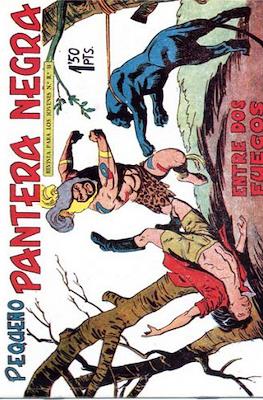 Pantera Negra / Pequeño Pantera Negra #157