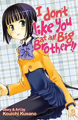 I Don't Like You At All, Big Brother!! #3
