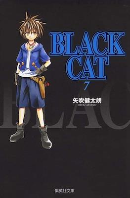 Black Cat #7