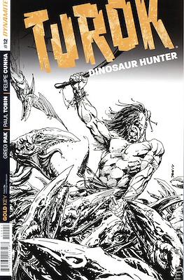 Turok Dinosaur Hunter (Variant Cover) #12.1
