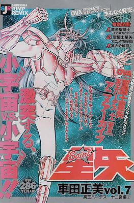 聖闘士星矢 (Saint Seiya Shueisha Remix) (Edición 2002-2004) #7