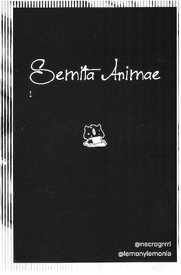 Semita Animae