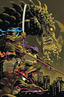 Teenage Mutant Ninja Turtles (2011-...Variant Covers) #142.2