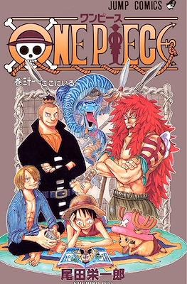 One Piece #11