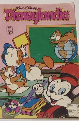 Disneylandia (Rústica) #30