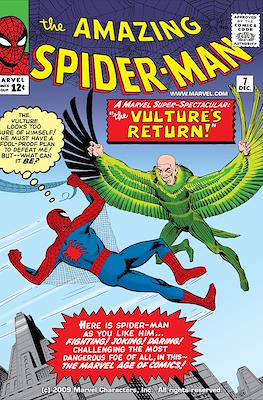 The Amazing Spider-Man Vol. 1 (1963-2007) #7