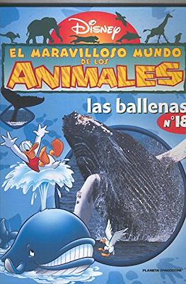 El maravilloso Mundo de los Animales Disney #18