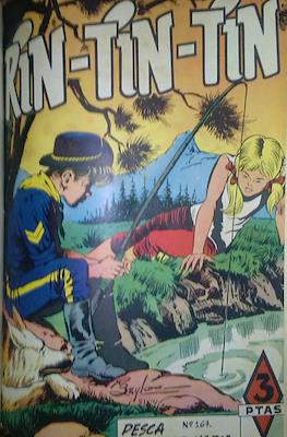 Rin-tin-tin / Davy y su fiel Roy #167