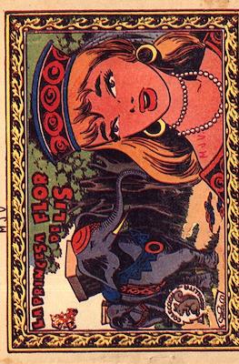 Colección Ardillita #704