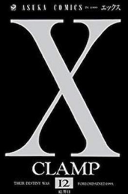 X (Rústica) #12