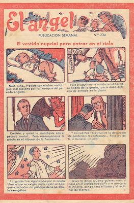 El Ángel #234