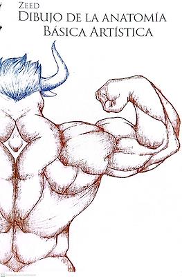 Dibujo de la anatomía básica artística