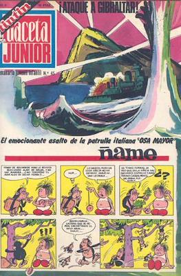 Gaceta Junior #45