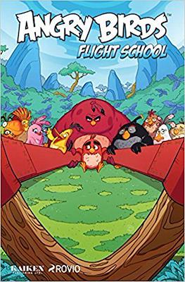 Angry Birds flight school