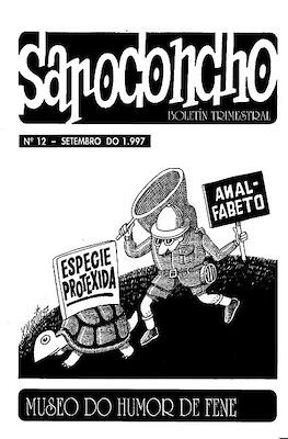 Sapoconcho #12