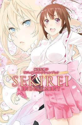 極楽院櫻子 ビジュアルコレクションブック SEKIREI - ENDEARMENT - (Gokurakuin Sakurako Visual Collection Book SEKIREI - ENDEARMENT -)