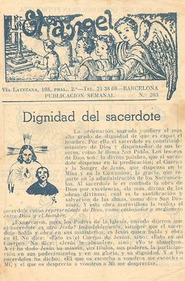 El Ángel #203