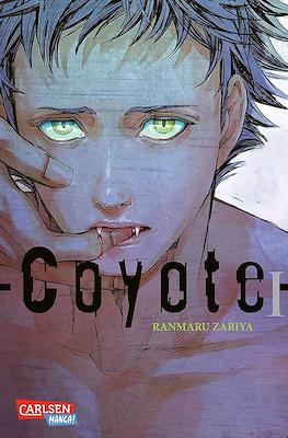 Coyote