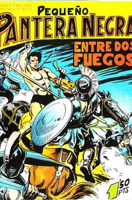 Pantera Negra / Pequeño Pantera Negra #107