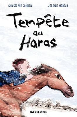 Tempête au Haras