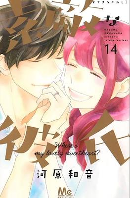 素敵な彼氏 Wheres My Lovely Sweetheart? (Suteki na Kareshi) #14
