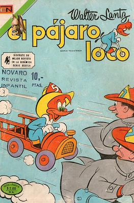 El pájaro loco #464