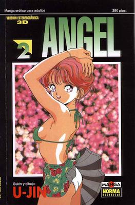 Angel (Rústica) #2