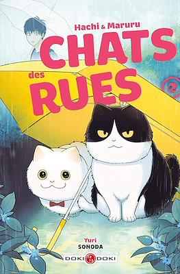 Chats des rues #2