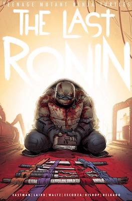 Teenage Mutant Ninja Turtles: The Last Ronin (Portadas variantes) (Rústica) #2.01