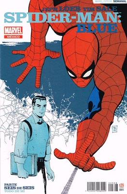 Spider-Man Blue (Grapa) #6