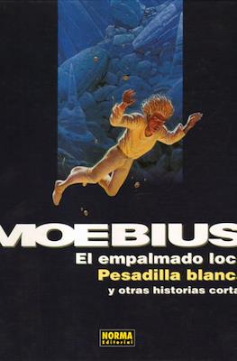 Moebius #3