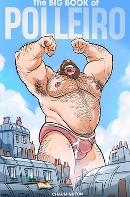 The Big Book of Polleiro