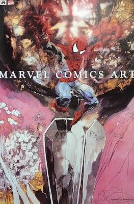 Marvel Comics Art