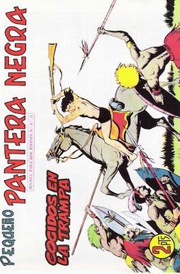 Pantera Negra / Pequeño Pantera Negra #296