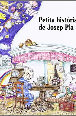 Petita Història #8