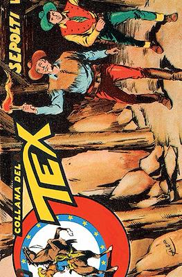 Le strisce di Tex #300