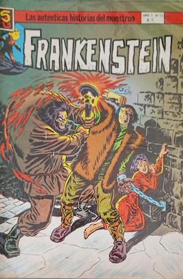 Frankenstein #11