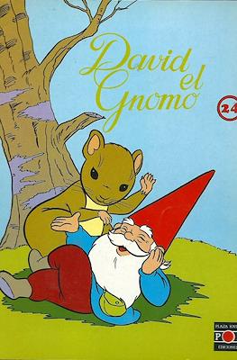 David el Gnomo #24