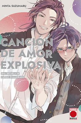 Canción de amor (Rústica)