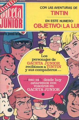 Gaceta Junior #17
